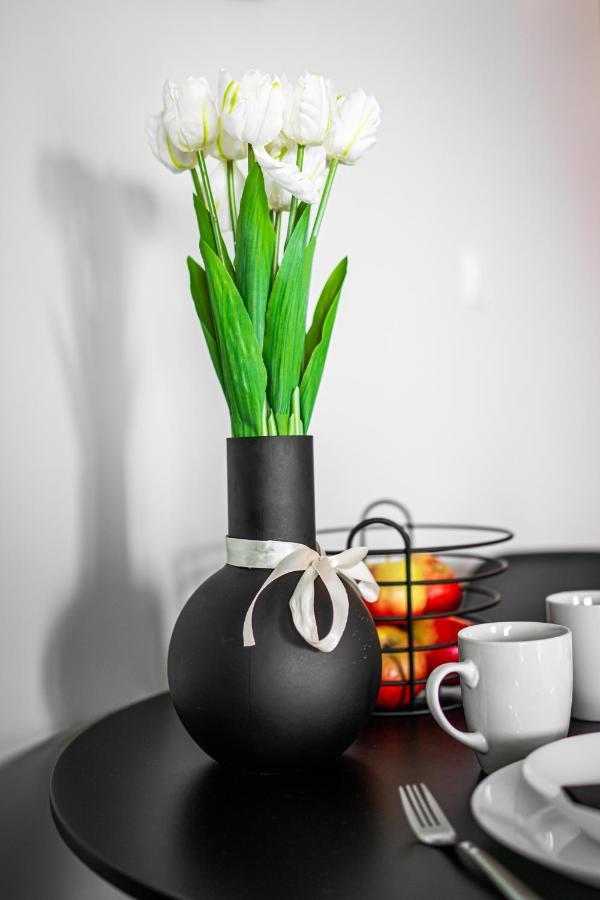 Turkusowe Tarasy Apartament Daire Czeladź Dış mekan fotoğraf